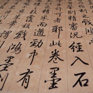 Historia-da-auriculoterapia- História e origem da auriculoterapia